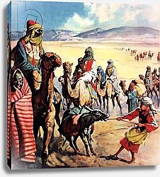 Постер МакКоннел Джеймс The Travellers of Bible Lands