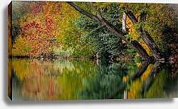 Постер Осенний лес, отражающийся в реке