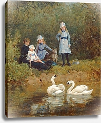 Постер Харди Эвелин Watching the Swans