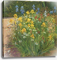 Постер Истон Тимоти (совр) Oxeye Daisies Against the Irises
