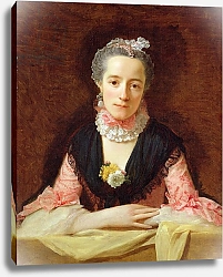 Постер Рамзай Алан An Unknown Woman in a Pink Dress