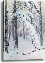 Постер Крыжицкий Константин Лес зимой