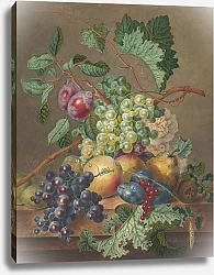Постер Брюн Жан Stilleven met vruchten