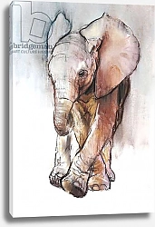Постер Адлингтон Марк (совр) Baby Elephant 2, Loisaba, 2018,
