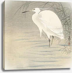 Постер Косон Охара Little egret.