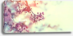 Постер Весенняя природа с розовым цветущим деревом