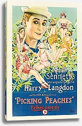Постер Неизвестен Picking Peaches