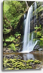 Постер Водопад Рассел, Тасмания