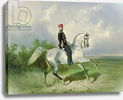Постер Сверчков Николай Portrait of Emperor Alexander II 1876