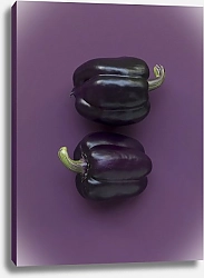 Постер Два баклажана на фиолетовом фоне