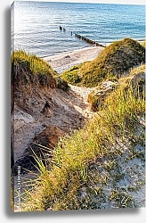 Постер Германия. Балтийские дюны