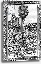 Постер Школа: Итальянская 16в. Frontispiece for a book of poems by Francesco Petrarch