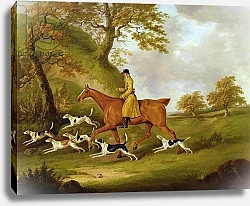Постер Сарториус Джон Huntsman and Hounds, 1809