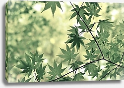 Постер Веточка зеленых листьев