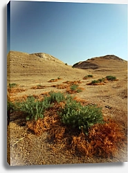 Постер Узбекистан, Самарканд. Пустыня
