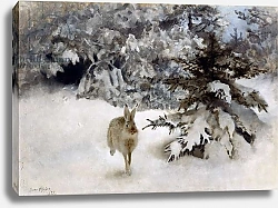 Постер Лильефорс Бруно A Hare in the Snow, 1927