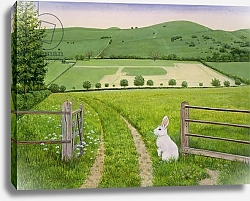 Постер Дитц (совр) Spring Rabbit