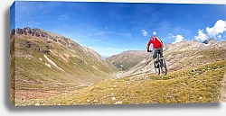 Постер Скоростной спуск на горном велосипеде