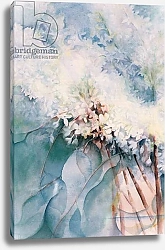 Постер Армитаж Карен (совр) Lilac, Maud Norcut
