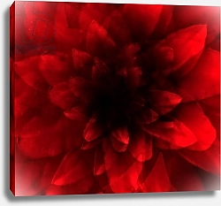 Постер Лильха Йохан flower red shade
