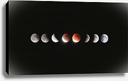 Постер Лунное затмение в фазах
