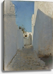 Постер Серджент Джон A Moroccan Street Scene, 1879-1880