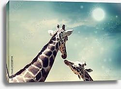 Постер Жирафы на фоне ночного неба