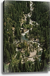 Постер Дорога у реки в лесах