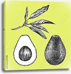 Постер Авокадо на лимонном фоне