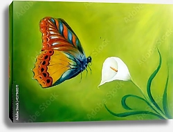 Постер Бабочка над цветком каллы на зеленом фоне