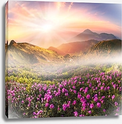Постер Цветущее поле в горах 2