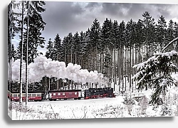 Постер Паровой поезд в зимнем лесу