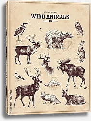 Постер Ретро постер с дикими животными