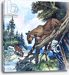 Постер Бэкхаус Д. (совр) Puma on the Prowl, 1963