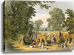Постер Лидон Александр Illustration for Goldsmith's The Deserted Village