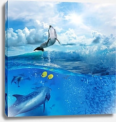 Постер Стая игривых дельфинов, плавающих под водой