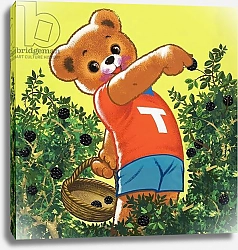 Постер Филлипс Уильям (дет) Teddy Bear 217