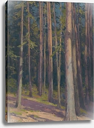 Постер Чордак Людовит Fir forest