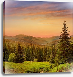 Постер Прекрасный рассвет в лесистых горах