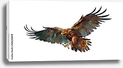 Постер Иллюстрация летящего орла