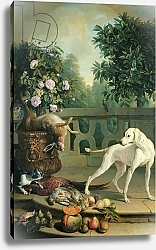 Постер Деспортес Александр Animals, flowers and fruits
