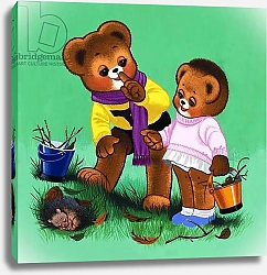 Постер Филлипс Уильям (дет) Teddy Bear 221