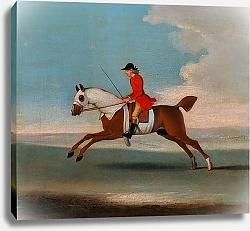 Постер Сеймур Джеймс One of Four Portraits of Horses - a Chestnut Racehorse Exercised by a Trainer in a Red Coat 1730