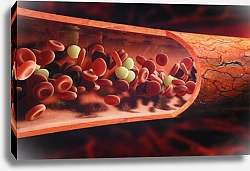 Постер Клетки крови, протекающей через вену