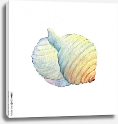 Постер Белая морская ракушка