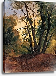 Постер Гиль Кристиан Тропинка и деревья