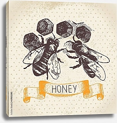 Постер Иллюстрация с медовыми сотами и пчелами