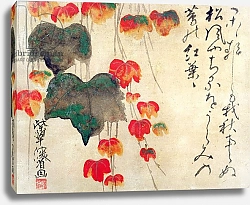 Постер Школа: Японская Poppies 2