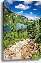 Постер Каменистая тропинка к озеру в горах