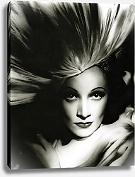 Постер Dietrich, Marlene 19